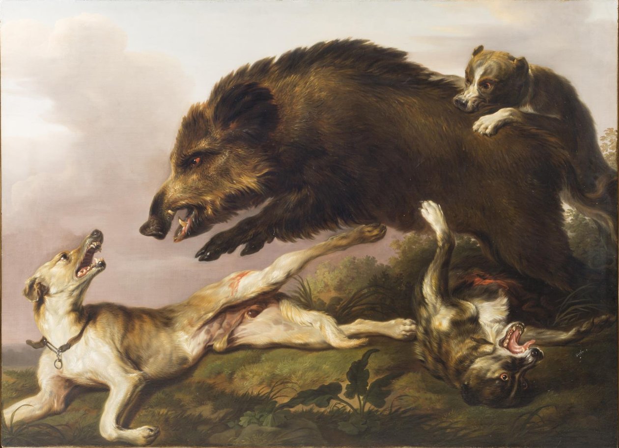 Caccia al cinghiale da Christian David Gebauer