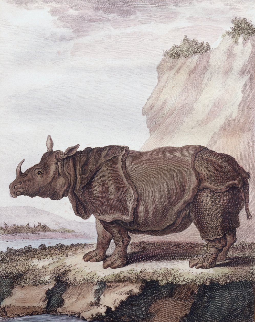 Rinoceronte (incisione) da Christian Friedrich Fritzsch