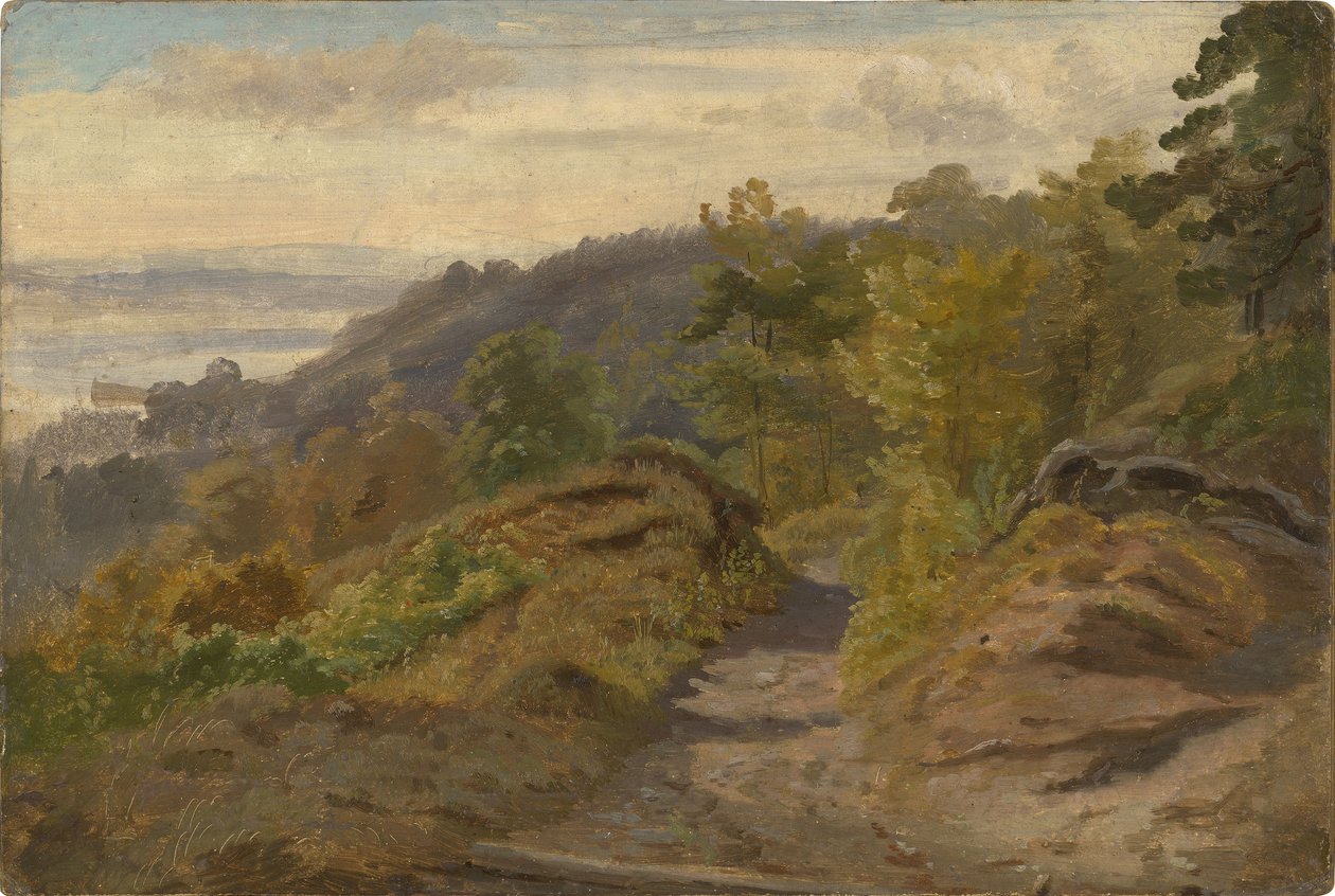 Torrente di montagna da Christian Friedrich Gille