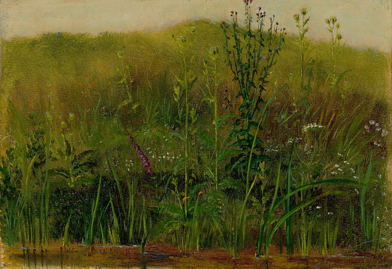 Piante sulla riva da Christian Friedrich Gille