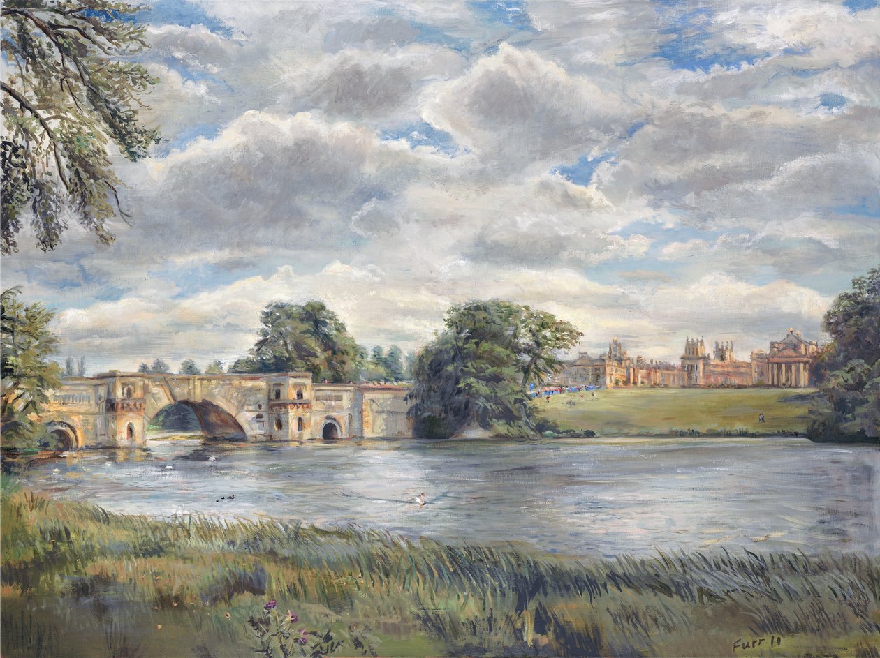 Palazzo di Blenheim, 2011 da Christian Furr