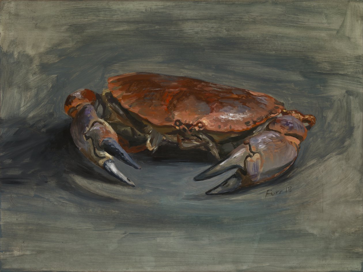 Granchio, 2018 (olio su pannello di legno gesso) da Christian Furr