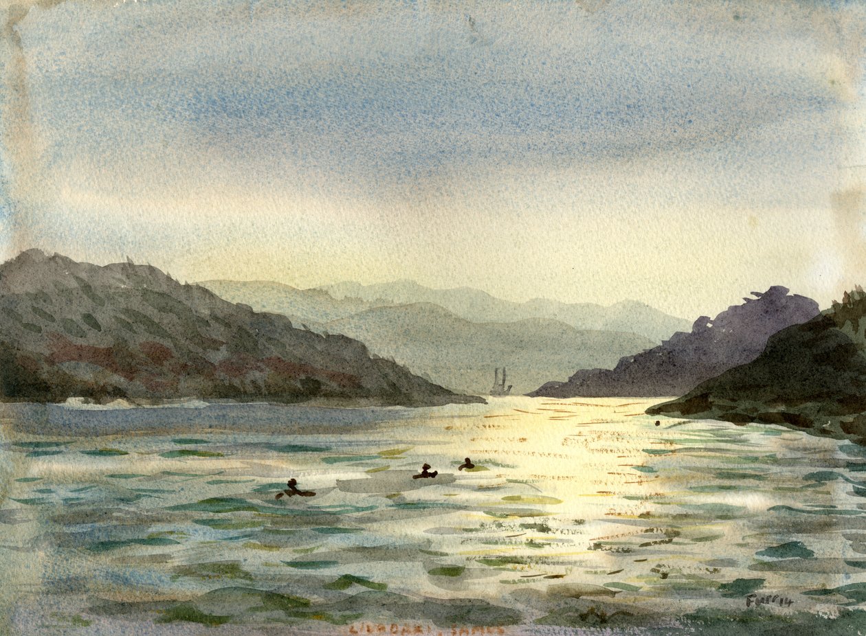 Mare dorato da Christian Furr