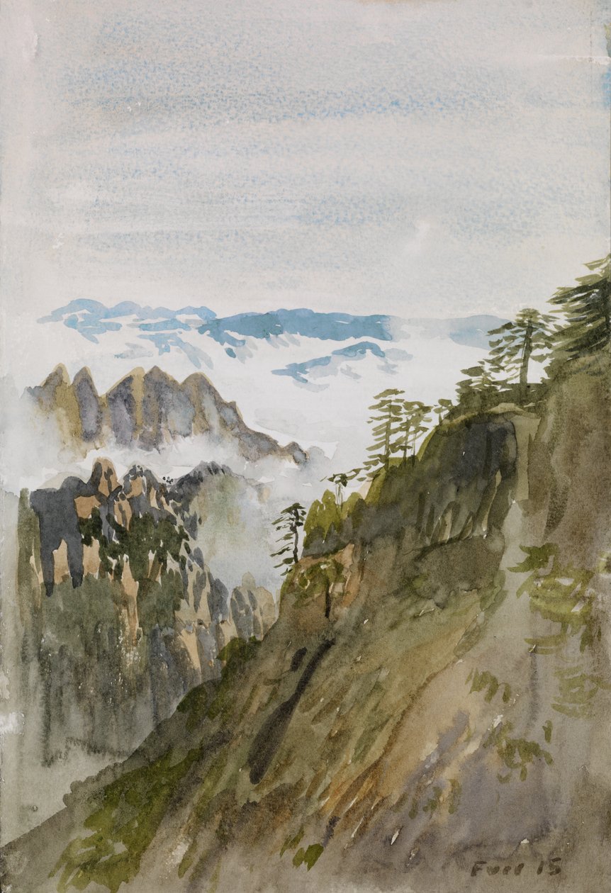 Pini della Montagna Gialla, Huangshan, 2015 da Christian Furr