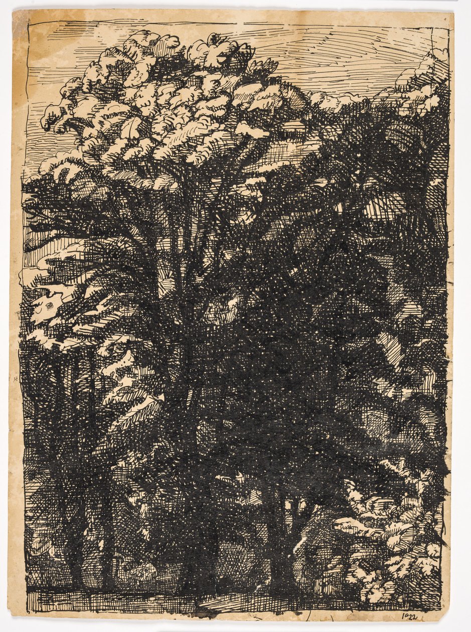 Alberi da Christian Kongstad Petersen