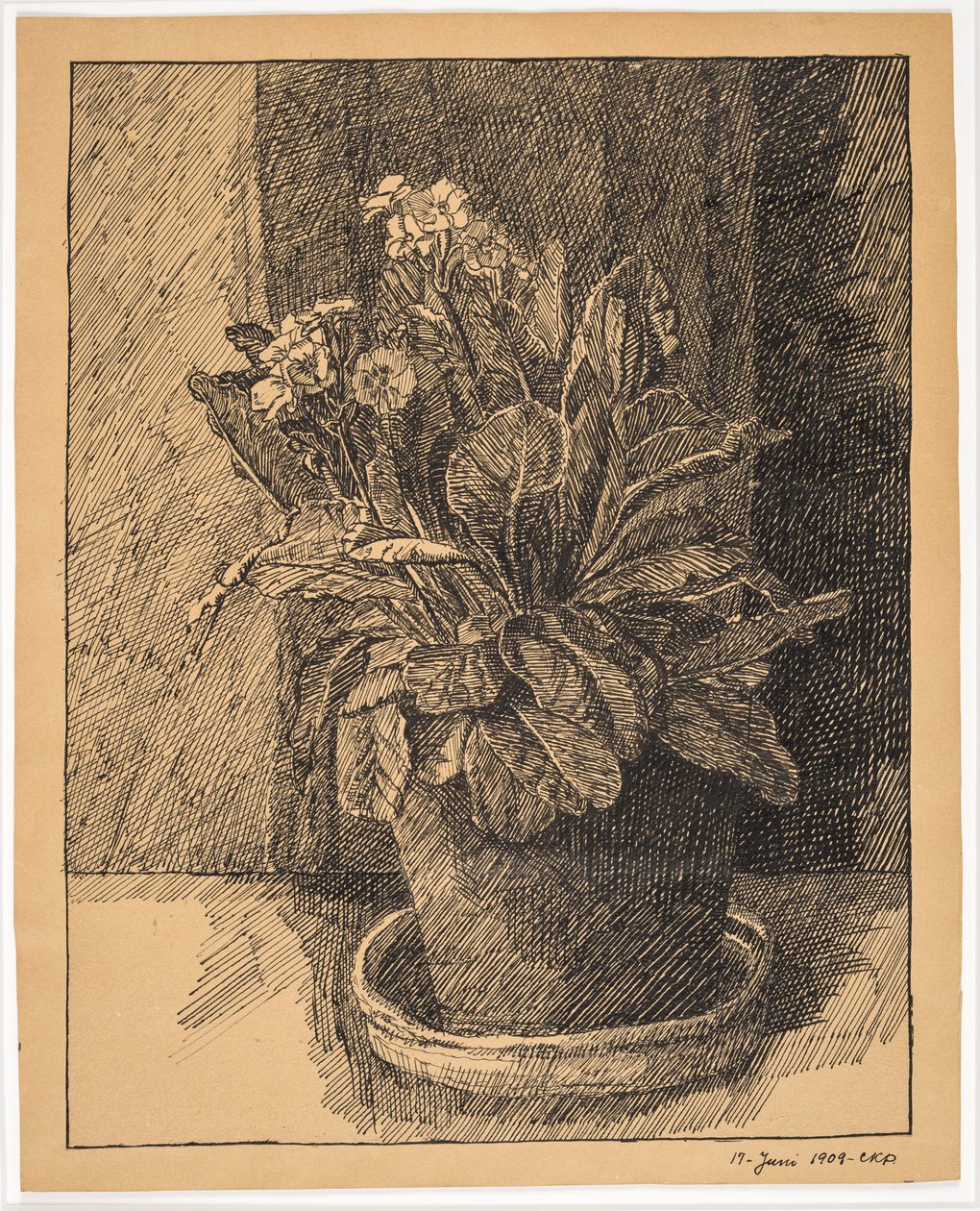 Vaso di fiori con primula da Christian Kongstad Petersen