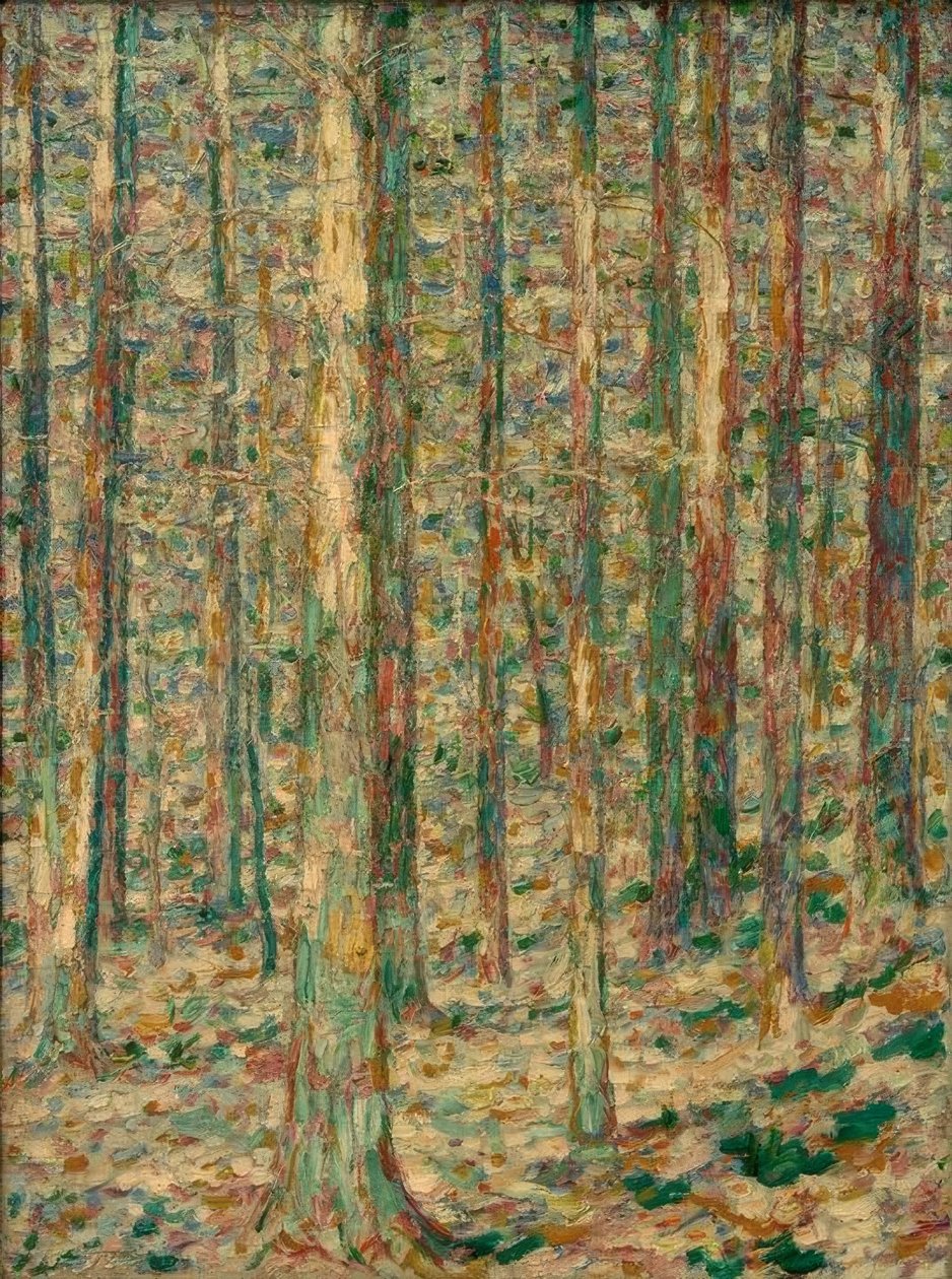 Tronchi di pino alla luce del sole da Christian Rohlfs