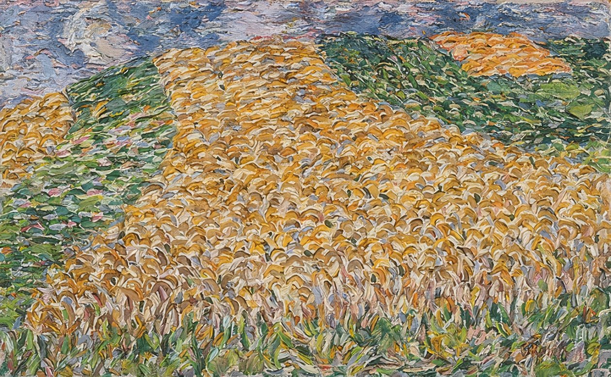 Campo di grano. 1907 da Christian Rohlfs