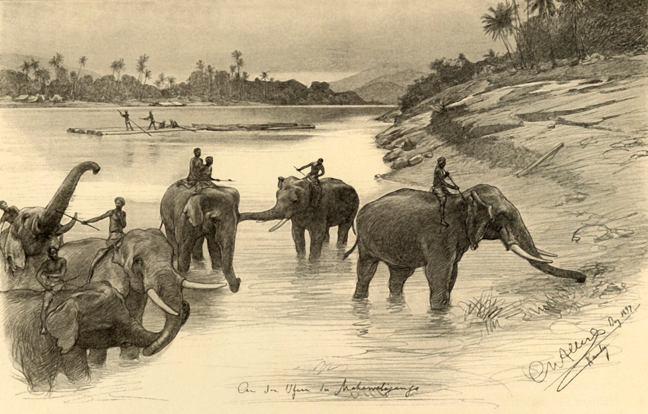 Elefanti sulle rive del fiume Mahaweli, Ceylon da Christian Wilhelm Allers
