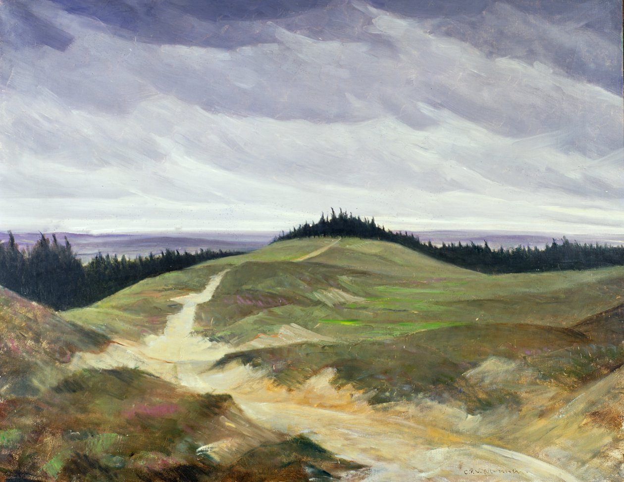 Sentiero sabbioso da Christopher Richard Wynne Nevinson