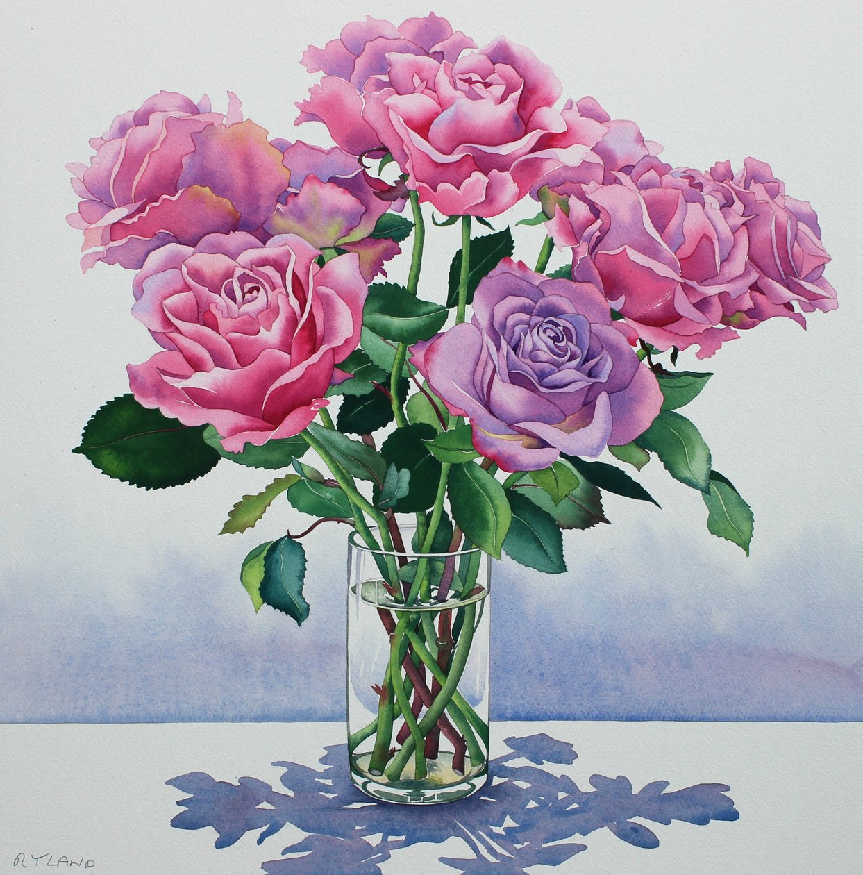 Rose valanga da Christopher Ryland