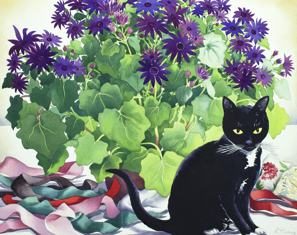 Pianta di Senetti e gatto da Christopher Ryland