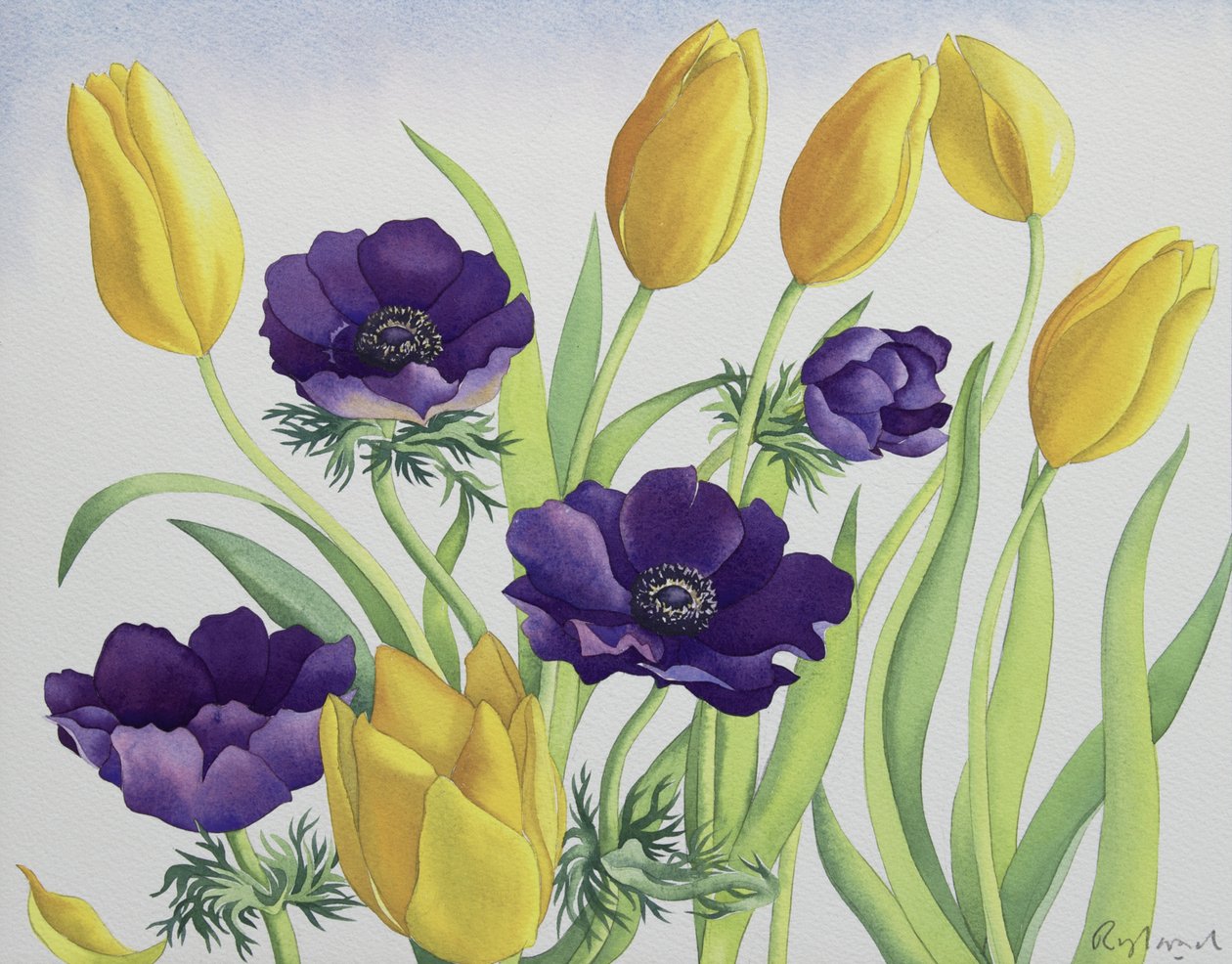 Tulipani e anemoni da Christopher Ryland