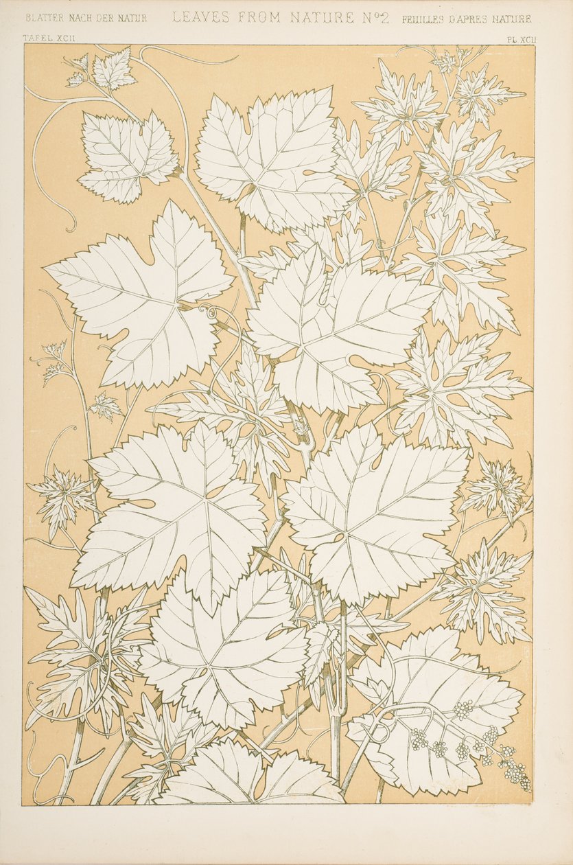 Foglie dalla Natura, 1868 da Christopher Dresser