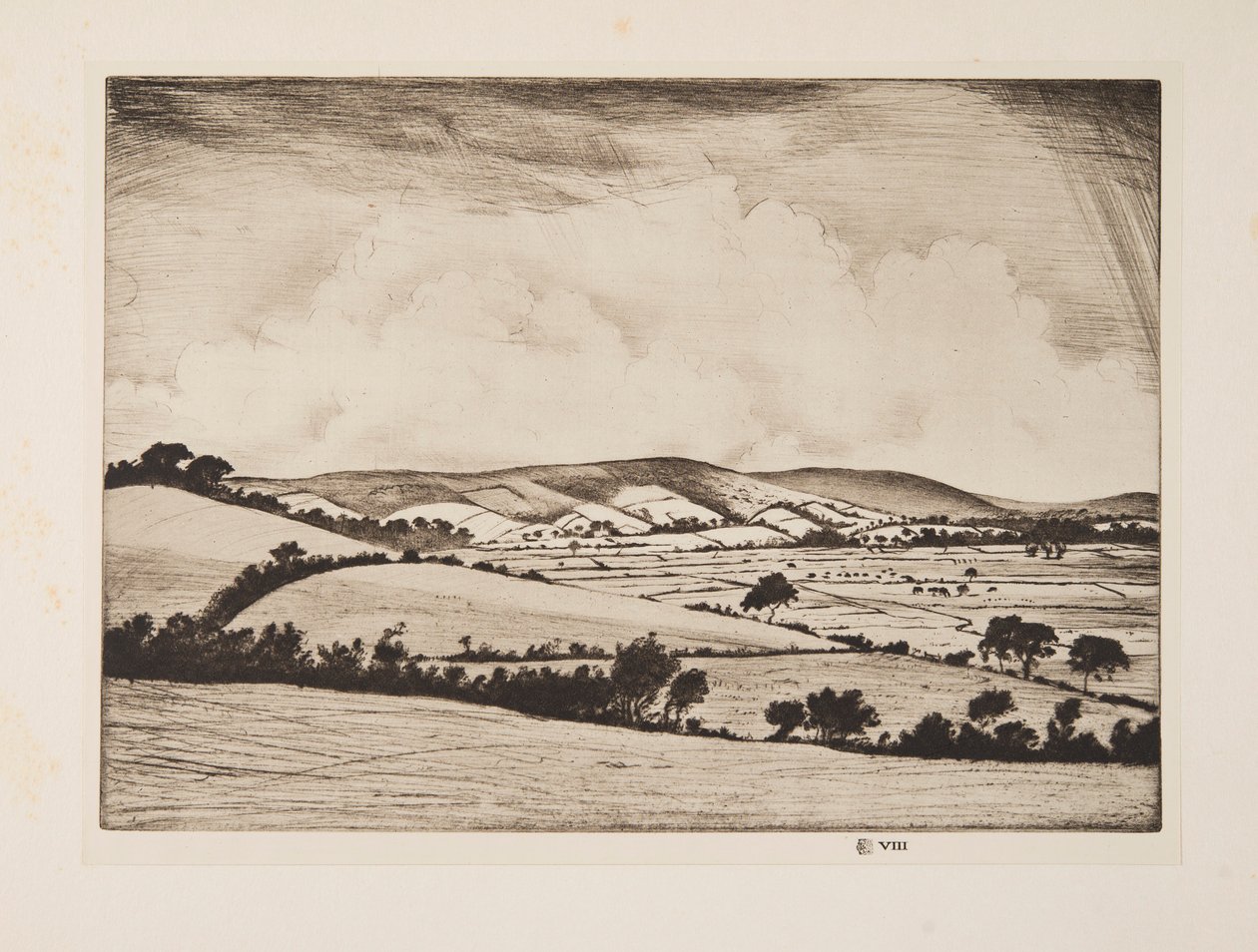 Una valle nel South Downs da Christopher Richard Wynne Nevinson