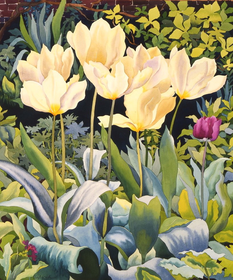 Tulipani pallidi da Christopher Ryland