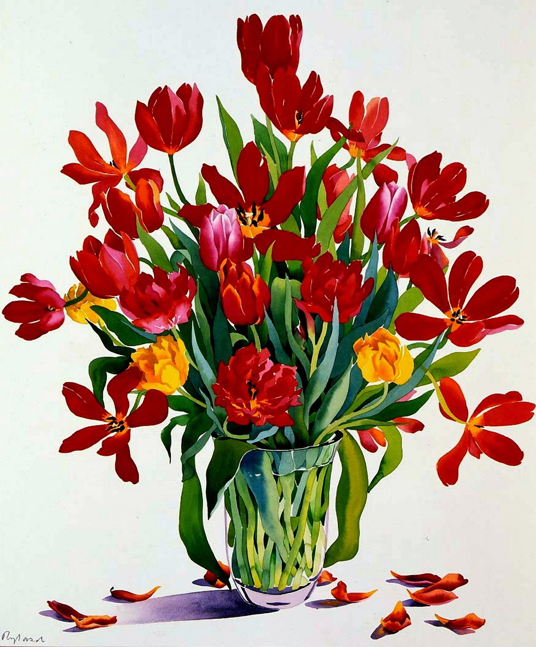 Tulipani da Christopher Ryland