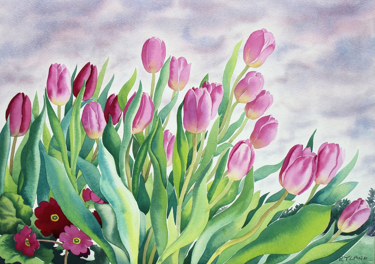 Tulipani alla finestra da Christopher Ryland