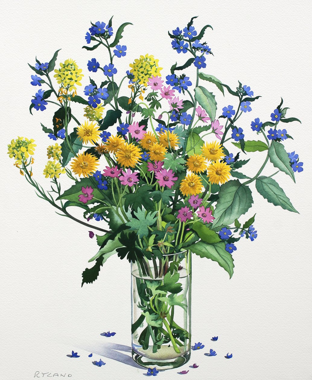 Fiori Selvatici con Alkanet, 2021 da Christopher Ryland