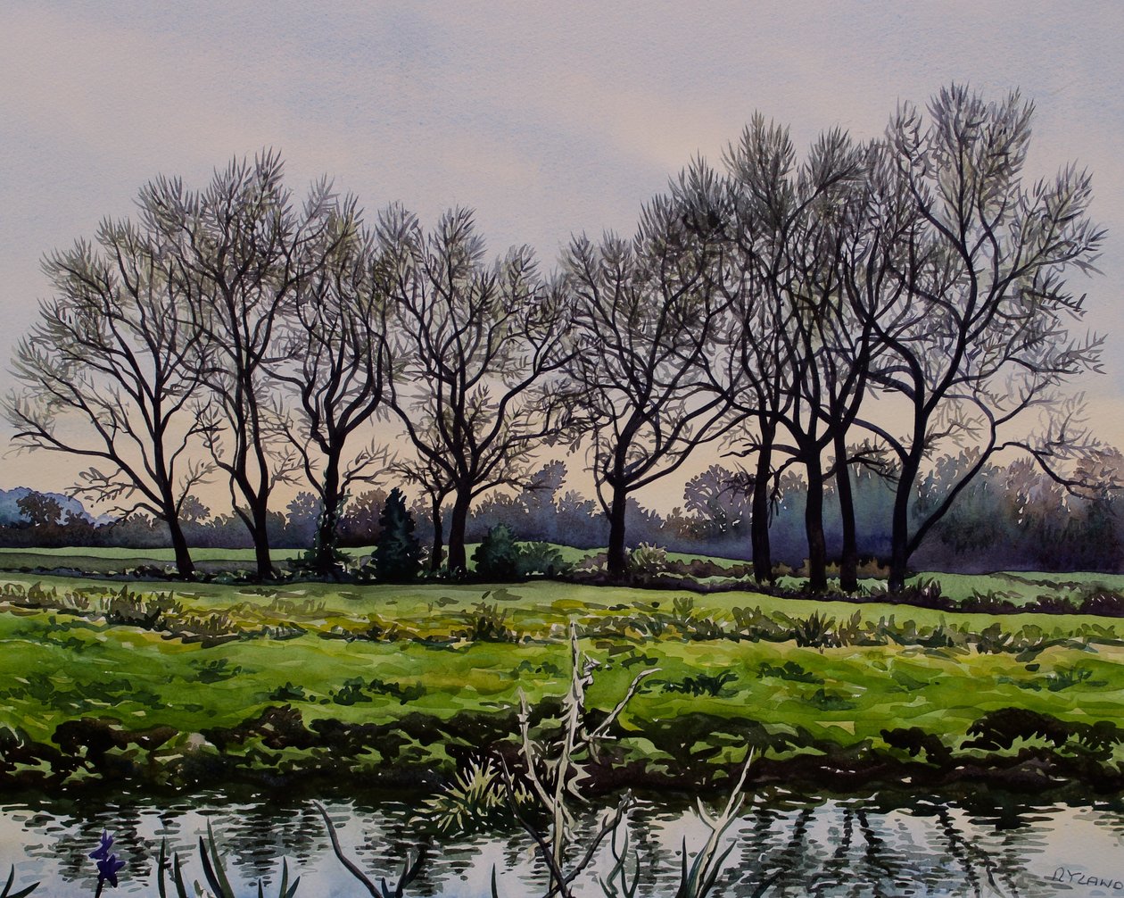Alberi invernali da Christopher Ryland