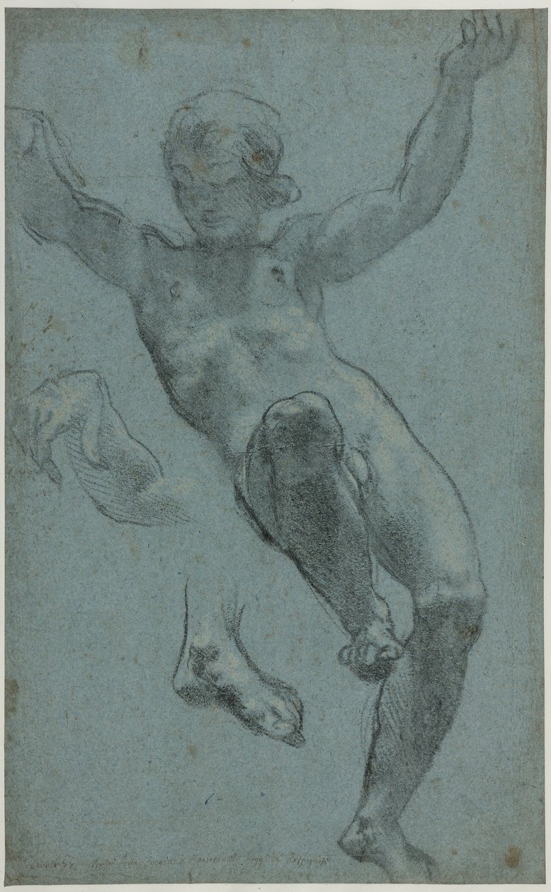 Studio di un Giovane per la Loggia di Cupido e Psiche da Cigoli