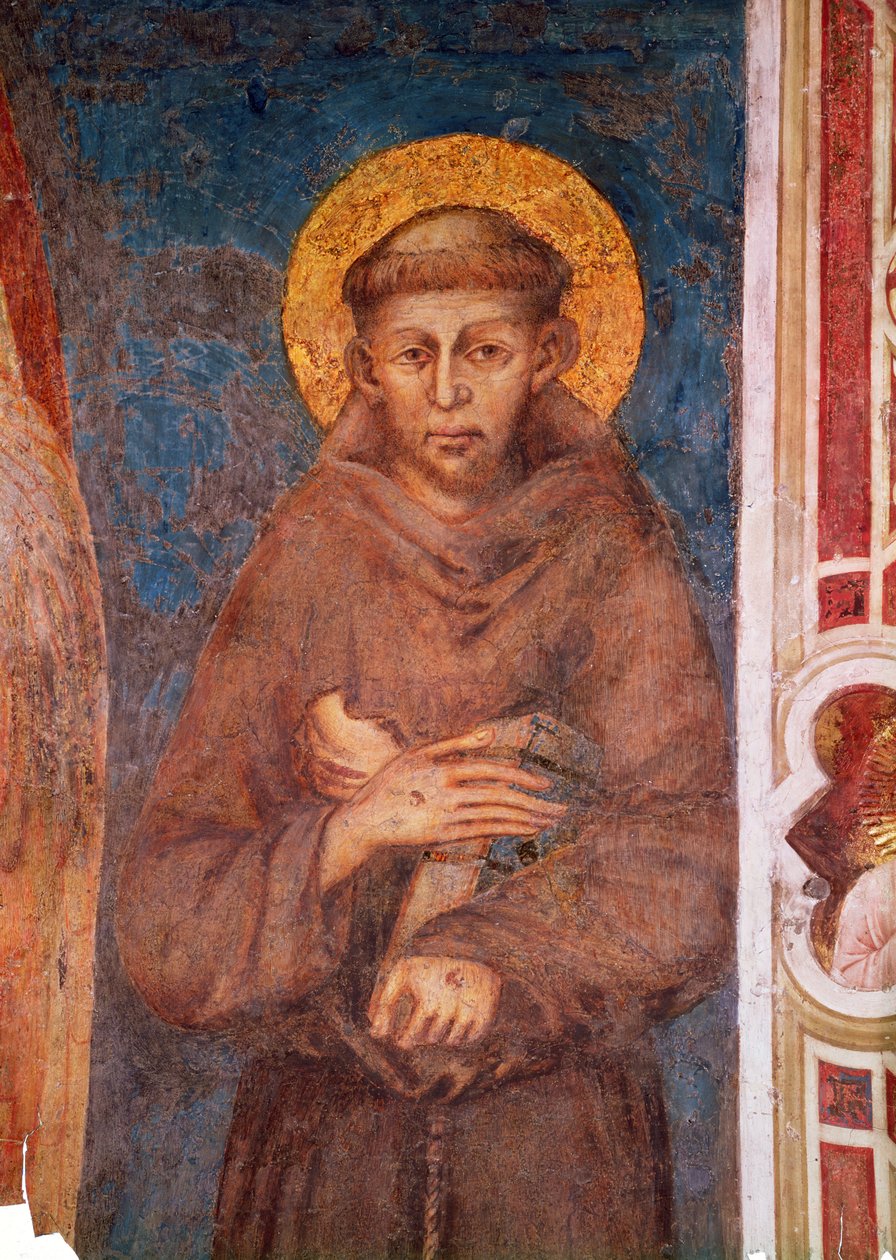 San Francesco (dettaglio) da Giovanni Cimabue