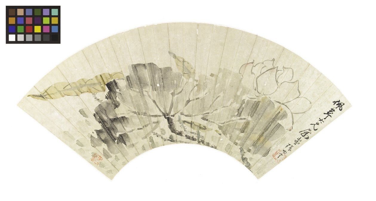 Fior di loto e foglie da Cining Zhang