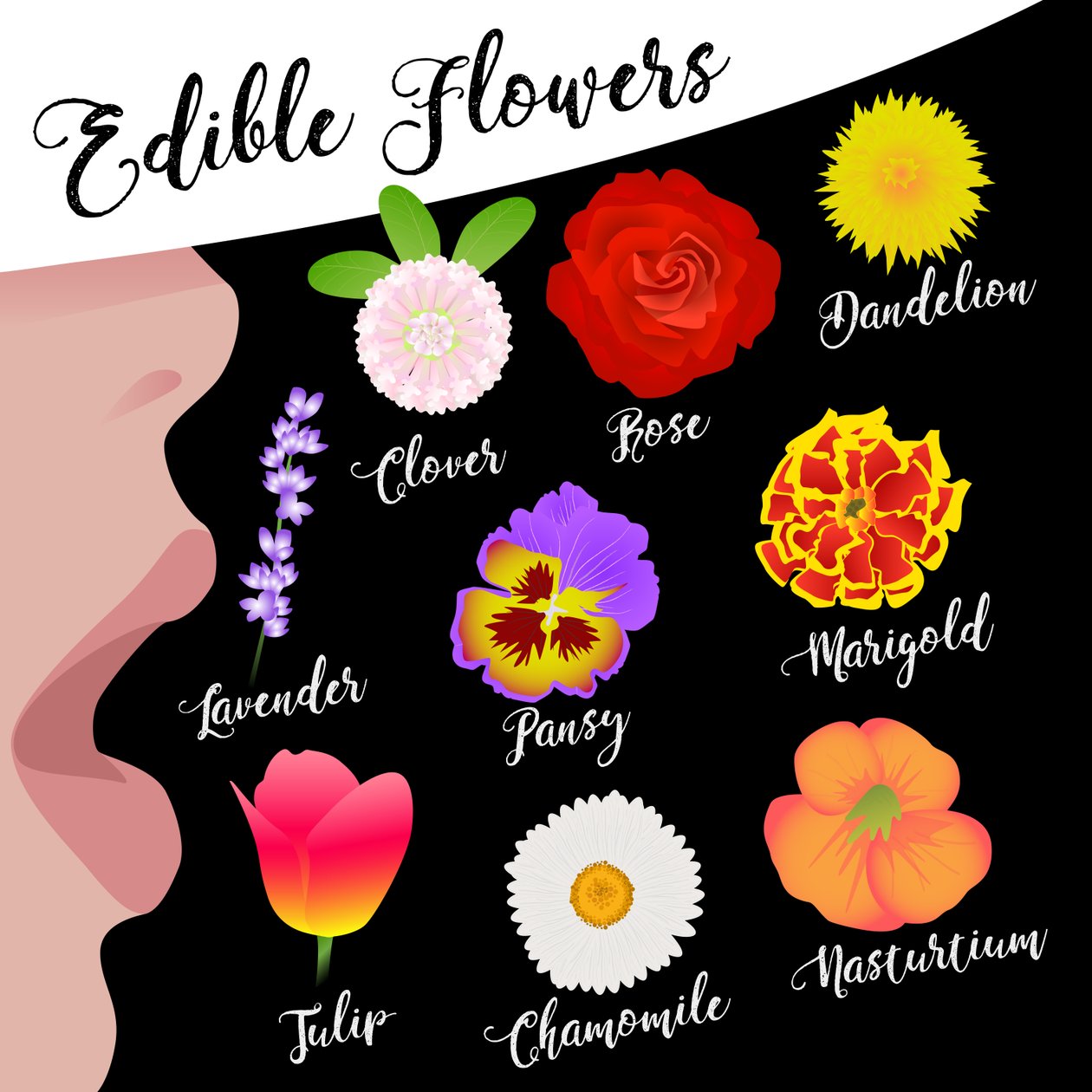 Fiori Commestibili da Claire Huntley