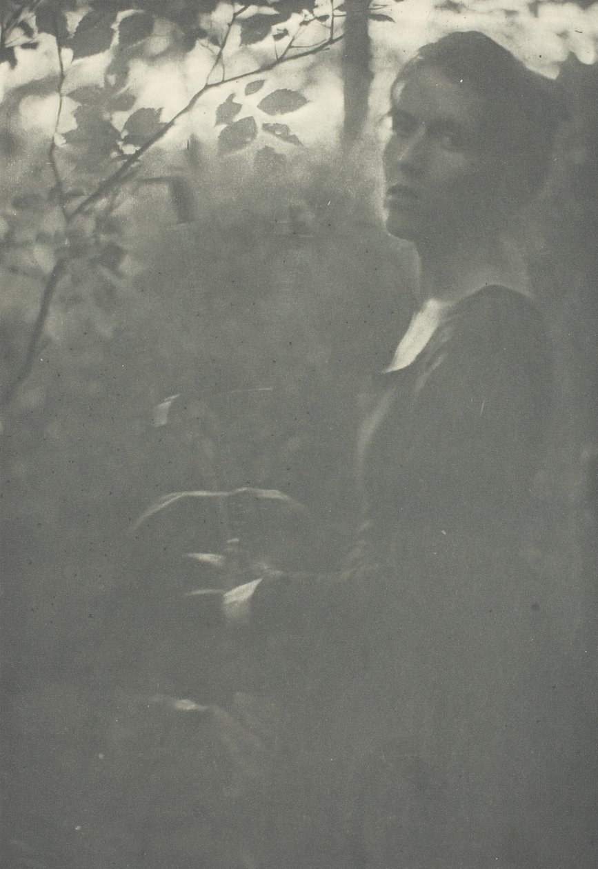 Bordo del bosco, c. 1899 da Clarence H White
