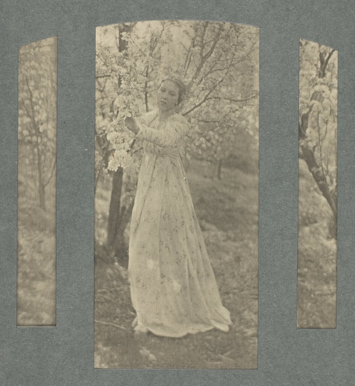 Primavera da Clarence H. White