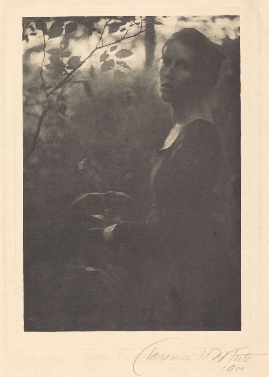 Ai margini del bosco, sera, 1900 (foto) da Clarence Henry White