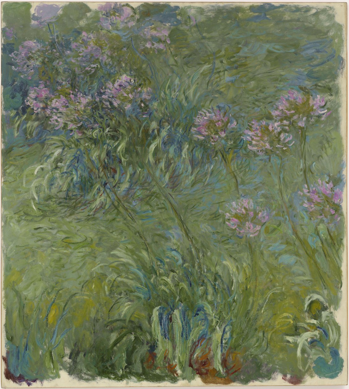 Agapanto da Claude Monet