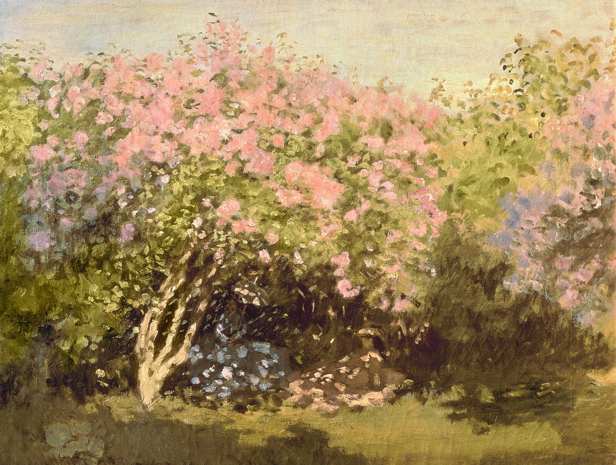 Lillà al sole, 1873 da Claude Monet