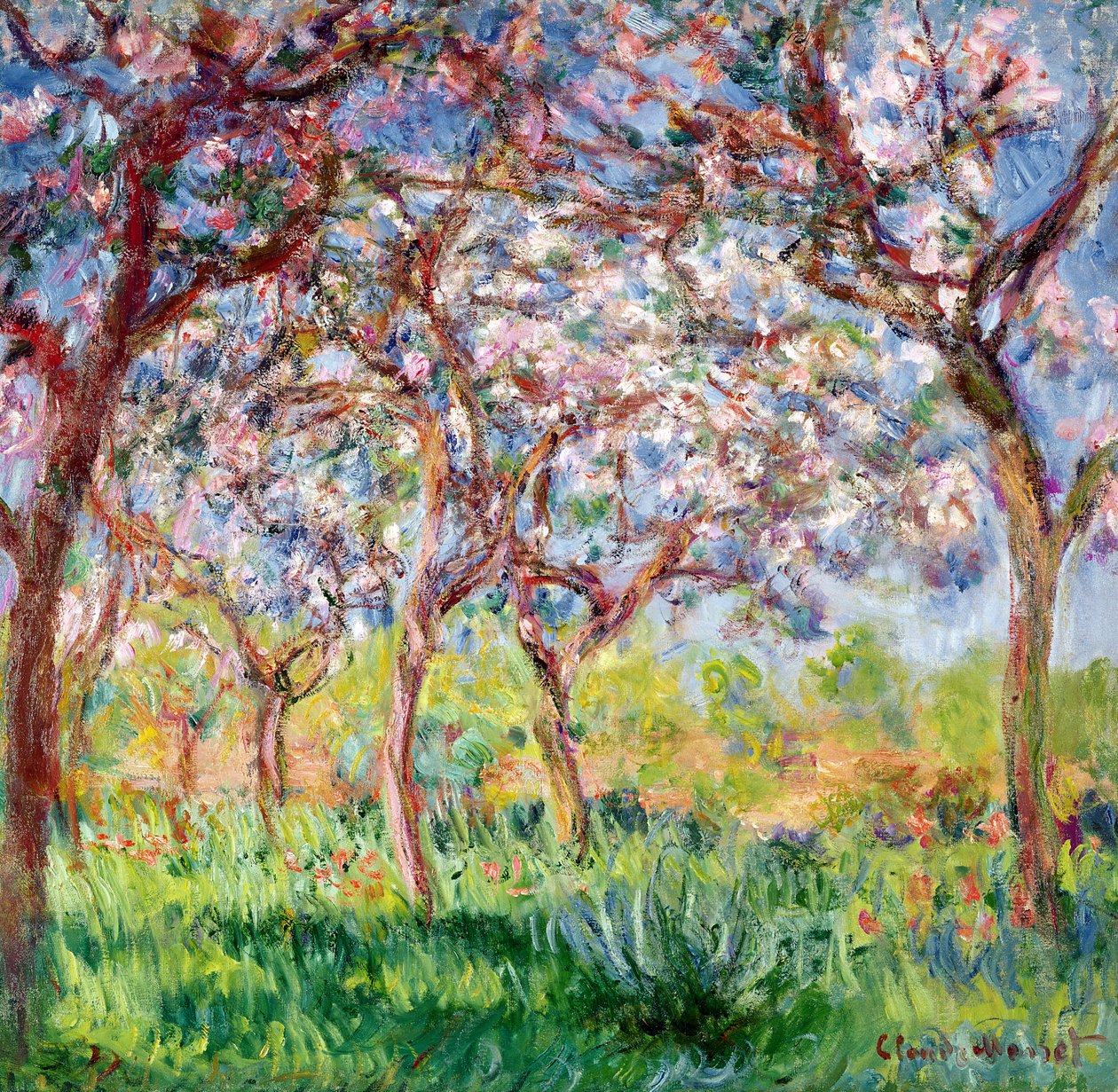 Primavera a Giverny, 1903 da Claude Monet