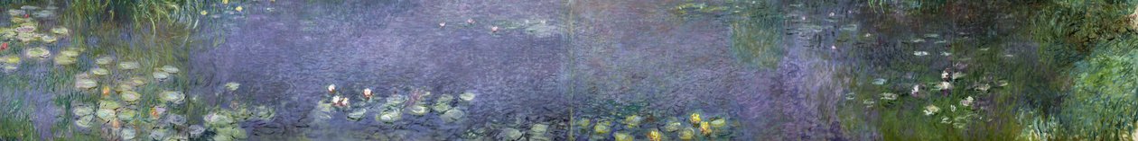 Ninfee: Mattina da Claude Monet