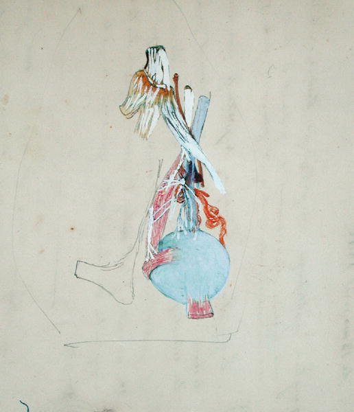 Sistema nervoso nella testa di un gatto, 25 maggio 1842 da Claude Bernard