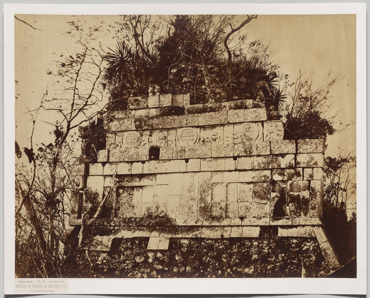 Palazzo del Circo a Chicen-Itza (bassorilievo di tigri) da Claude Joseph Désiré Charnay
