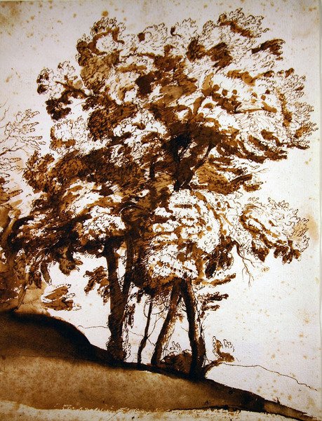 Un gruppo di alberi alla luce del sole da Claude Lorrain