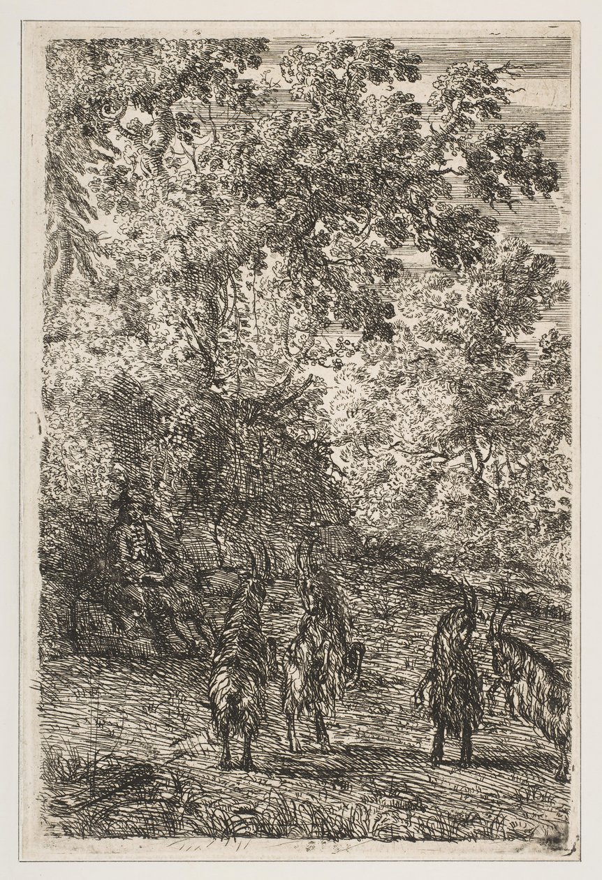 Quattro capre (sezione sinistra di Le capre) da Claude Lorrain