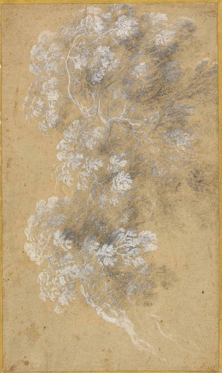 Schizzo di fogliame e rami da Claude Lorrain