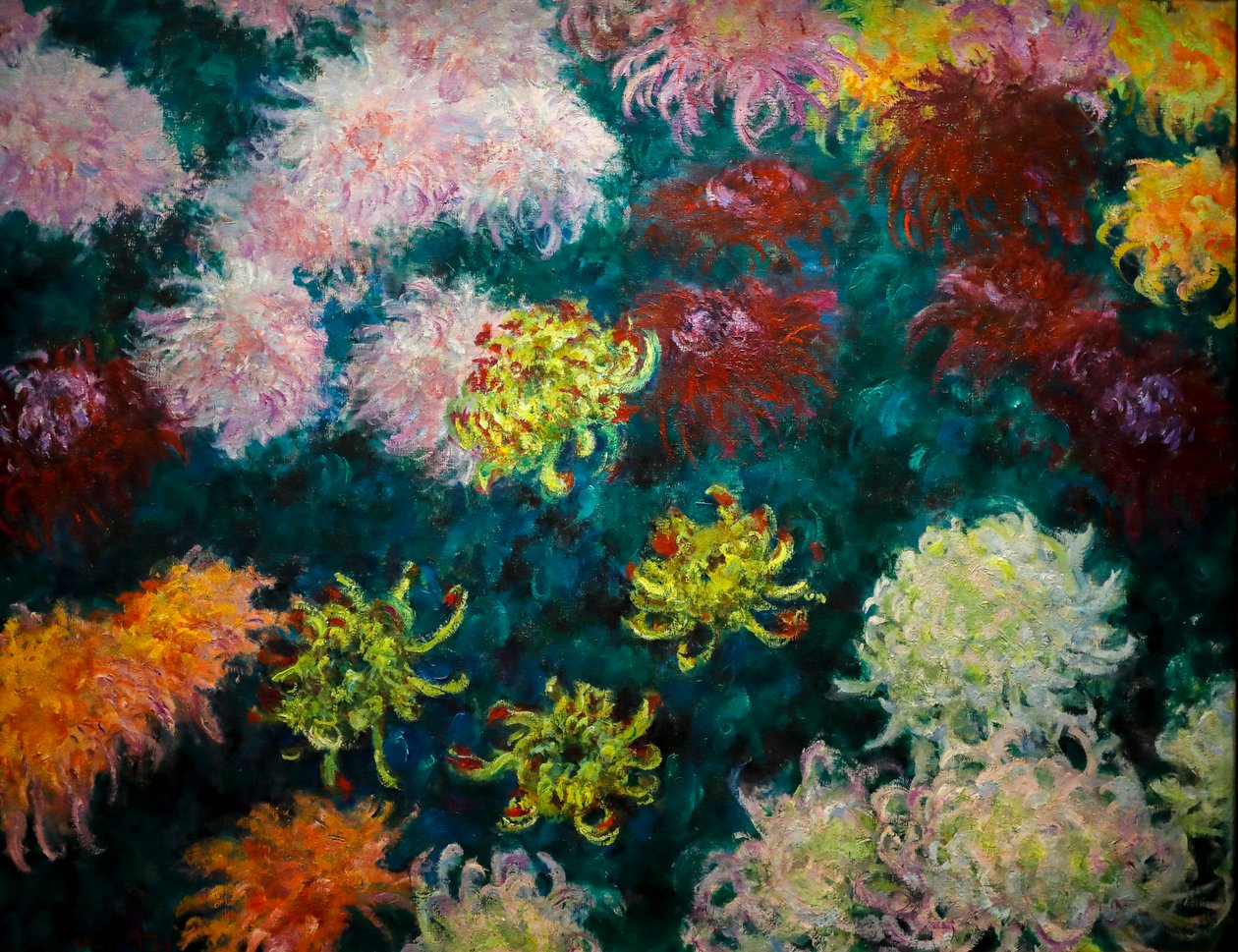 Letto di crisantemi da Claude Monet