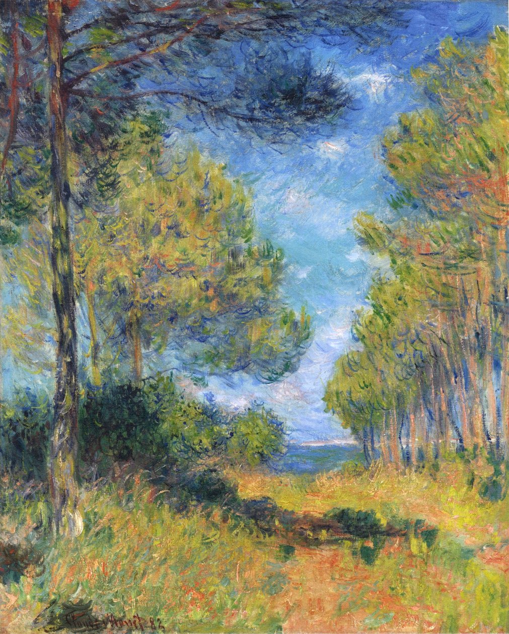Francese: Allée de sapins à Varengeville
Tedesco: Tannenallee a Varengeville da Claude Monet