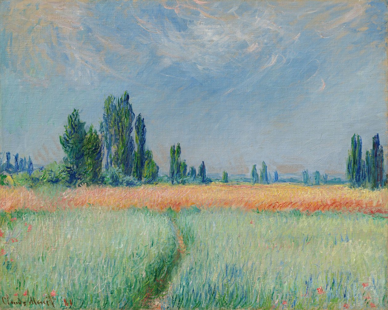 Tedesco: Campo di grano di Weizenfeld da Claude Monet