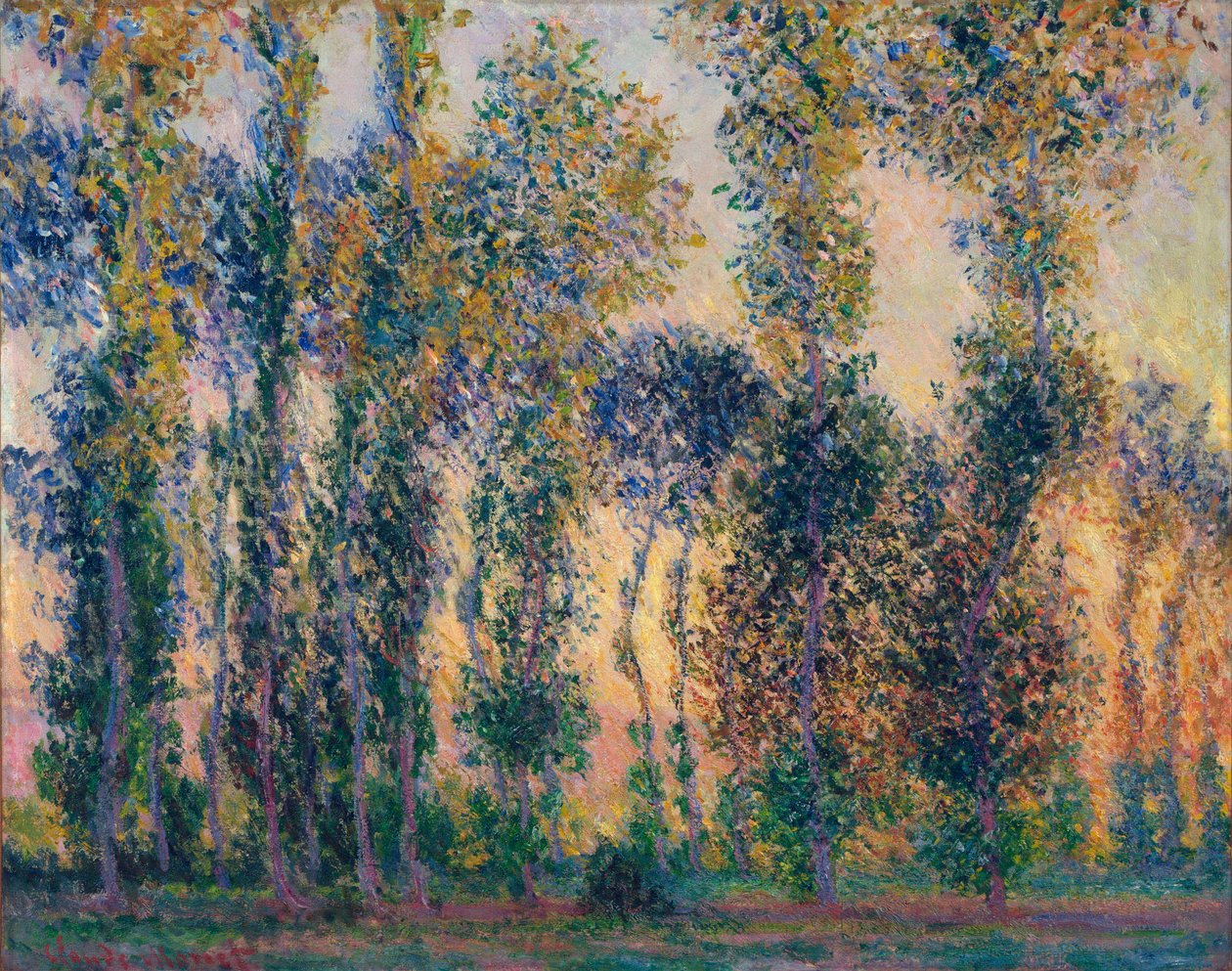 I pioppi a Giverny, alba da Claude Monet