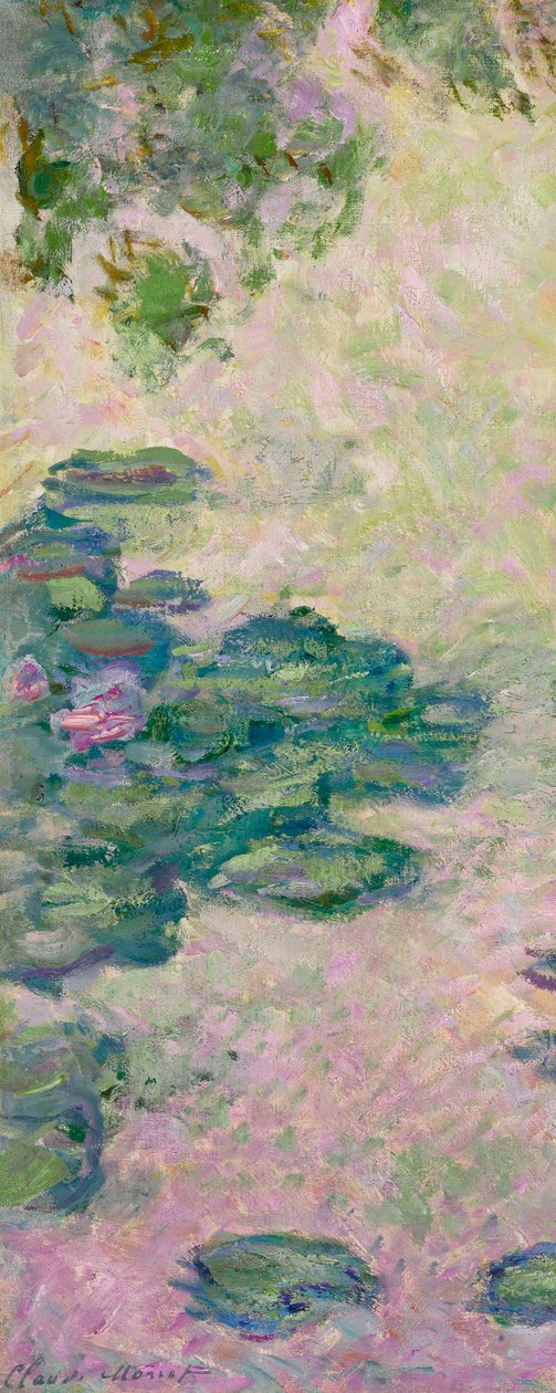 Ninfee (frammento), c.1912 da Claude Monet