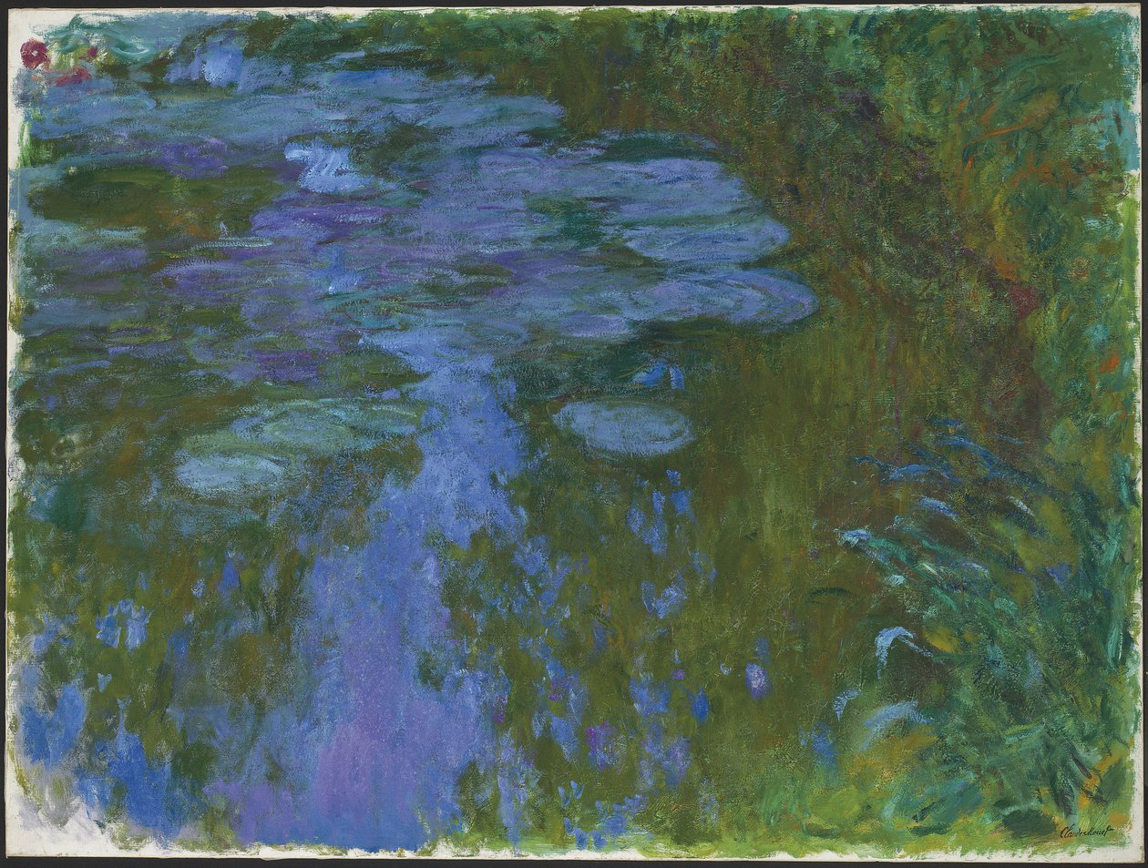 Ninfee da Claude Monet