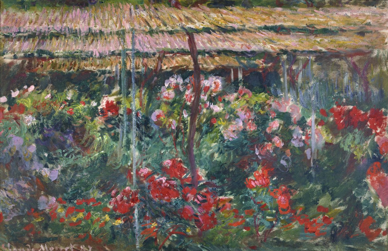 Giardino delle peonie  da Claude Monet