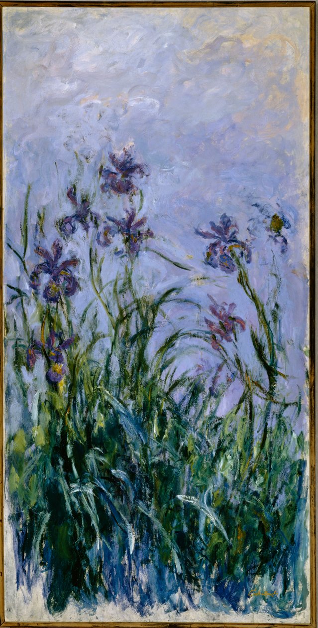 Iris viola da Claude Monet