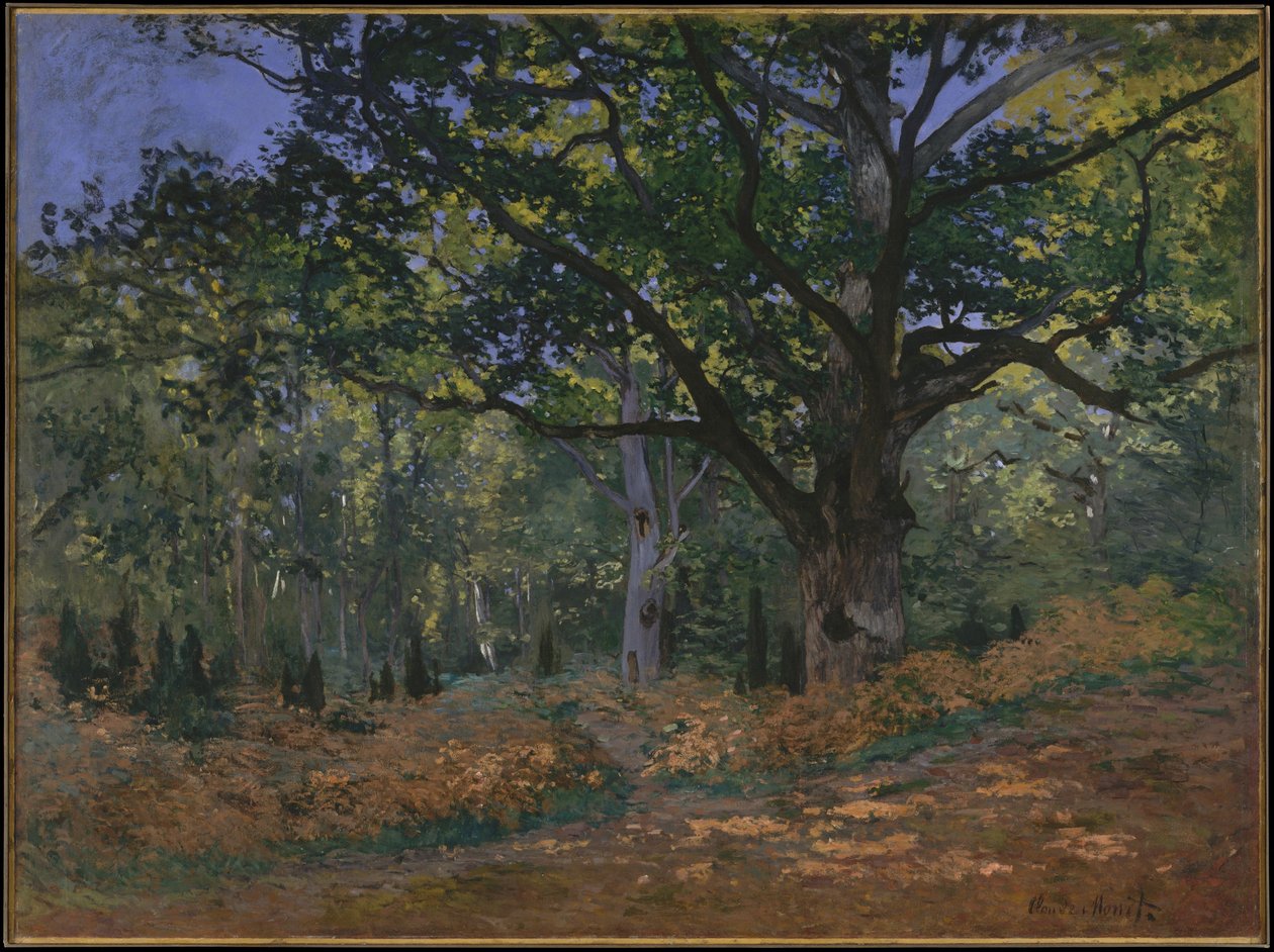 La quercia di Bodmer, foresta di Fontainebleau, 1865 da Claude Monet