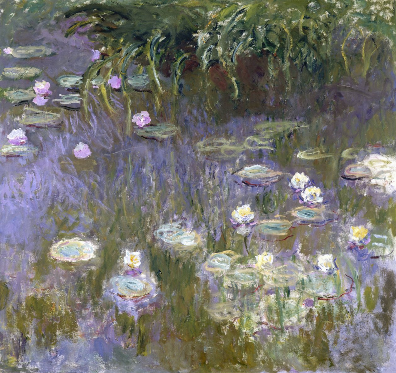 Ninfee da Claude Monet